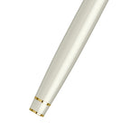 Scrikss Noble 35 Medium nib Fountain Pen - Ivory GT