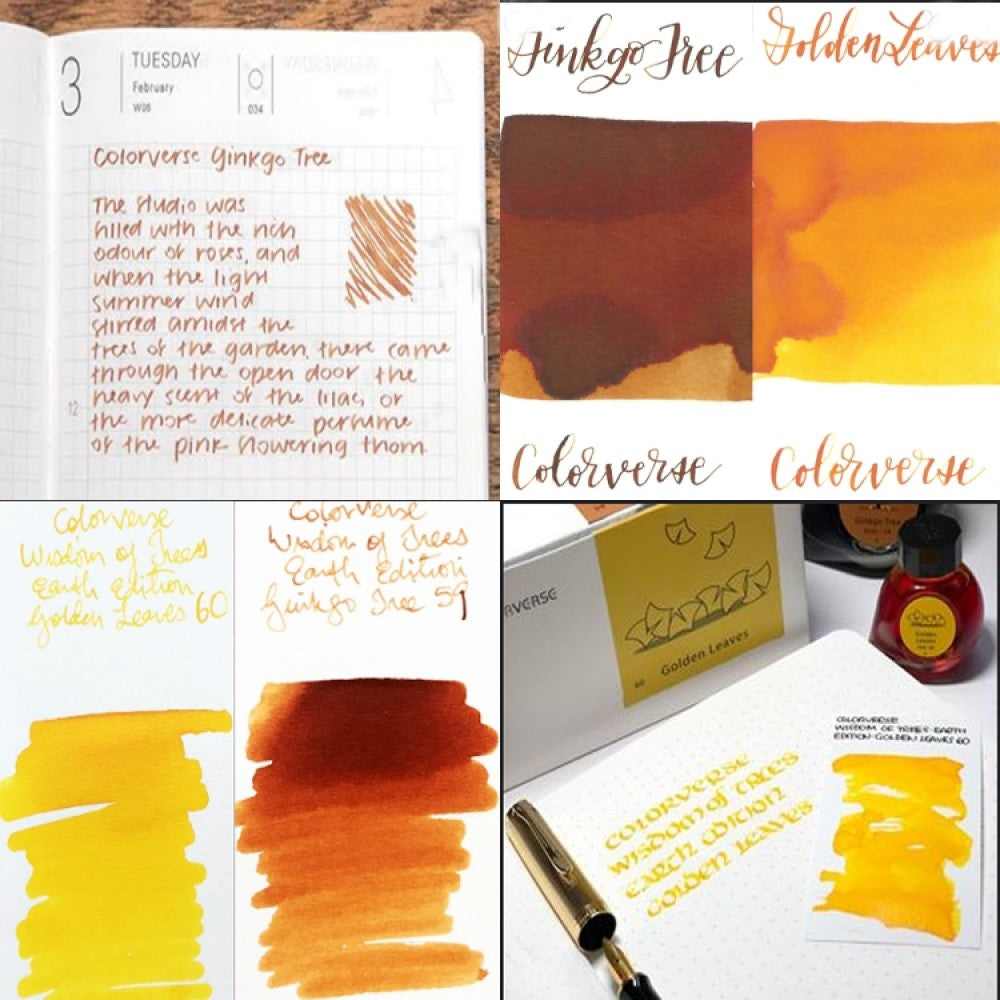 Colorverse | Earth Edition | Ginkgo Tree Light Brown | Golden Leaves Yellow | Fountain Pen Ink | 65ml and 15ml | 2 Bottle Set - penpencilink