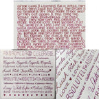 Colorverse | Astrophysics Series | Season 2 | Fountain Pen Ink | Andromeda | Purple | 65ml and 15ml | 2 Bottle Set - penpencilink
