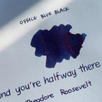 Colorverse | Office Series | Fountain Pen Ink | Blue-Black Bottle | 30ml