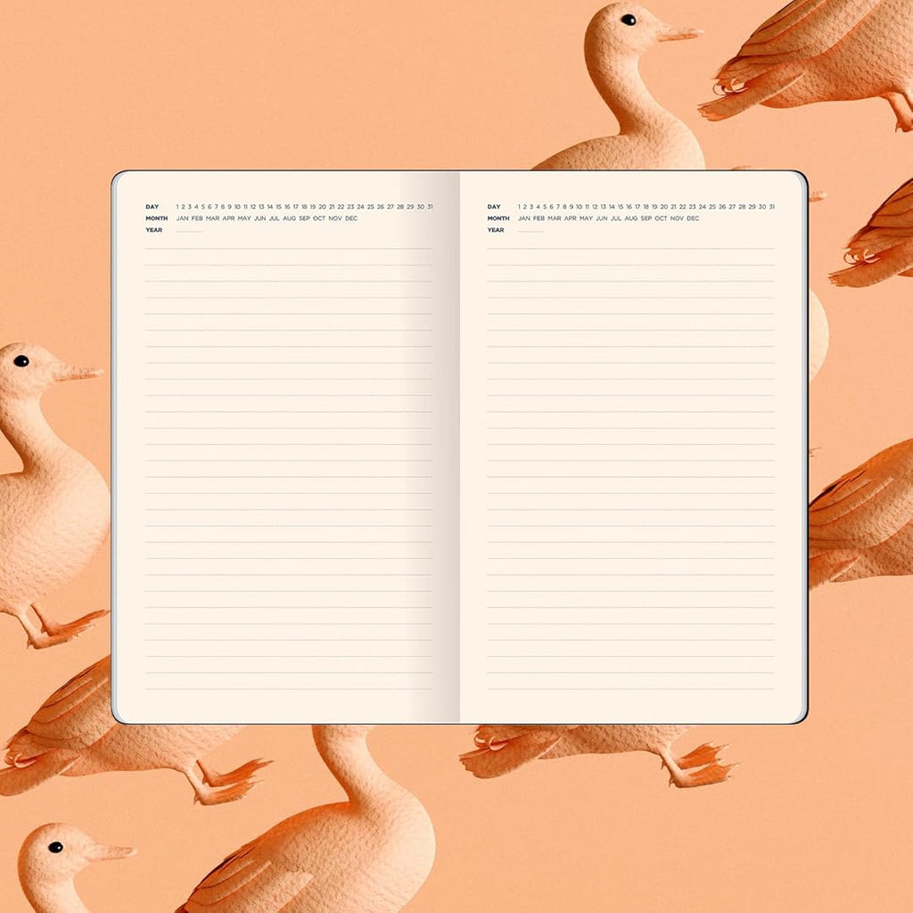 Flexbook | Open Date | Medium A5 Size Planner | Light Green | Flex Global