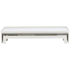 Litem | Monitor Stand | Up Desk Organizer Set | White