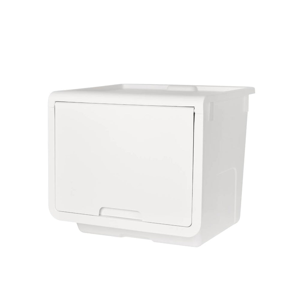 Litem | Multi Utility Storage  Box |Organizer  | Ivory | Roomax Cube Plus | For Office & Home