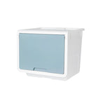 Litem | Multi Utility Storage  Box |Organizer  | Mint | Roomax Cube Plus | For Office & Home