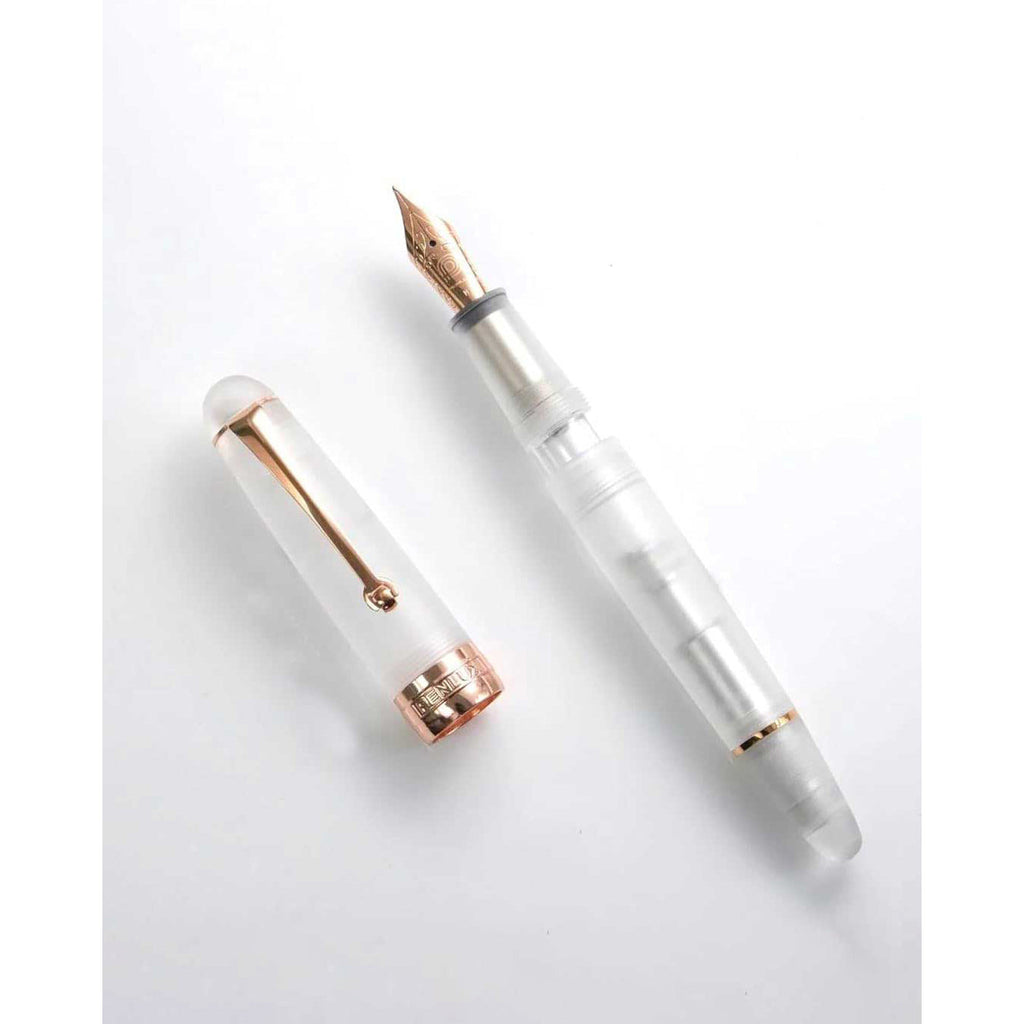 Penlux | Fountain Pen | Delgado | Demo Matted | Rose Gold Trim