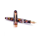 Penlux | Masterpiece Delgado | Fountain Ink Pen | Euploea | Brown Black | Piston Filling