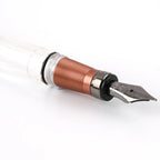 TWSBI Diamond 580ALR Fountain Pen in Affogato - Satyam Collection