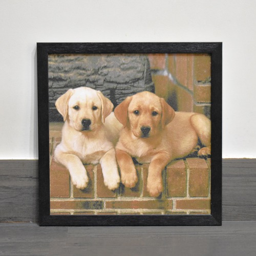 Dog Wall Painting Wooden frame with Sparkle Paper Sheet