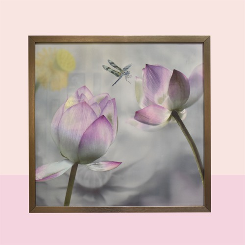 Colorful Elegant Lotus With Monochromatic Background Photo Frame