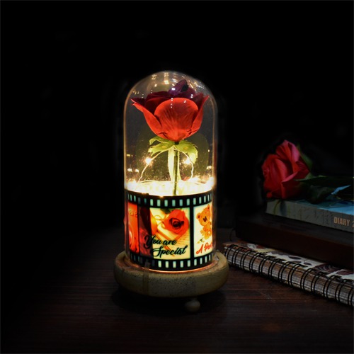 Beauty and the beast eternal enchanted rose flower covered with love quotes reel in a glass jar with golden LED lightings wooden base for this valentines day