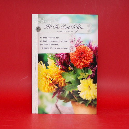 All The Best To You In Whatever You Do| Best Wishes Greeting Card