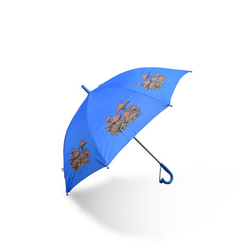 Umbrella for Kids Polyester Portable and Unique Design Cartoon Printed Folding Sun Protection Umbrella with Whistle Auto Open Kids Boy and Girls
