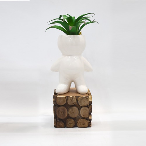 Artificial Plants | Plants for Home Decor, Living Room, Balcony | Wall Shelf Side Table Office Home Decoration