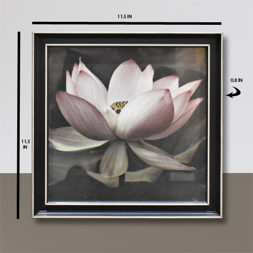 Elegant Lotus Flower Photo On Monochromatic Background