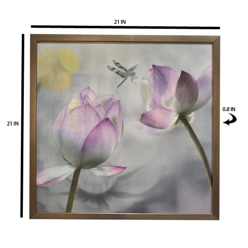 Colorful Elegant Lotus With Monochromatic Background Photo Frame