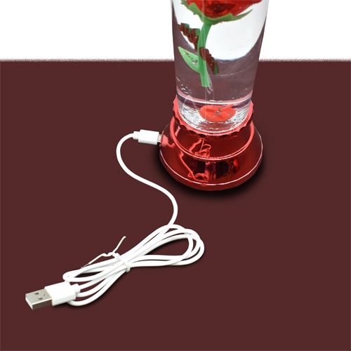 Beauty and the beast eternal rose flower floating in a snow glass bottle with multicolored LED lighting for this Valentines Day