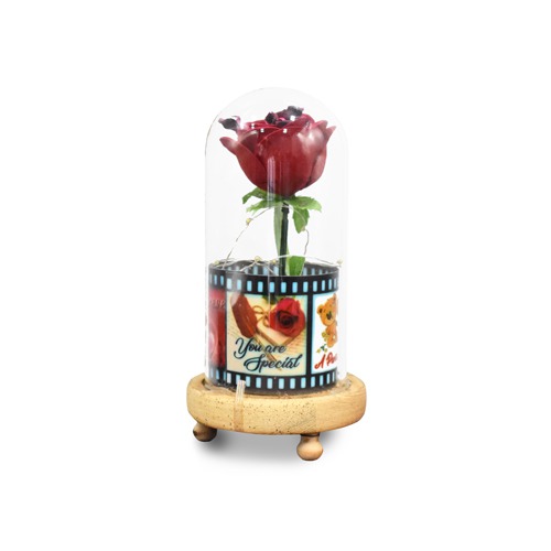 Beauty and the beast eternal enchanted rose flower covered with love quotes reel in a glass jar with golden LED lightings wooden base for this valentines day