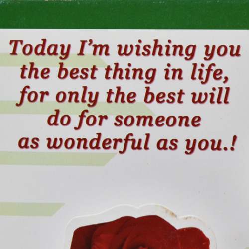 Life Is Wonderful When You Are Around/Happy Birthday Greeting Card