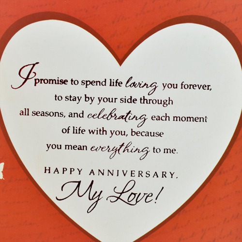 Lot of Love On Our Anniversary Greeting Card