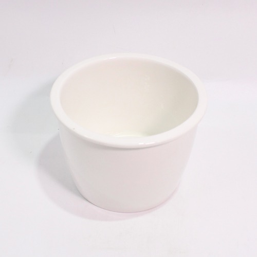 Fancy White Ceramic Pot | Decorative Indoor Outdoor Ceramic Pots for Plants