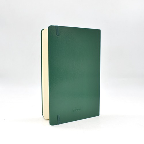 Viva Esprit A5 Journal Notebook With Elastic Band Closure And Expandable Inner Pocket Colour ( Green)  | Notebook | Diary | Personal Diary | Home And Office Use