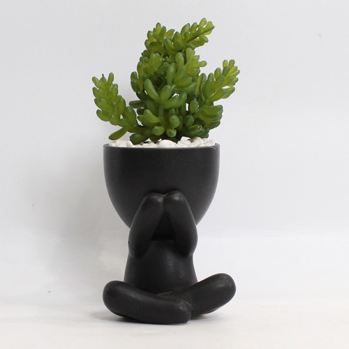 Artificial Burro's -Tail Plant | Plant in Plastic Pot for Home Decor | Decoration Items for Living Room | Decorative Table Top Indoor Plants