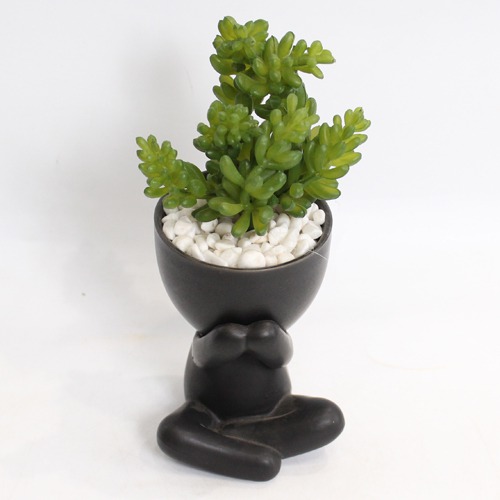 Artificial Burro's -Tail Plant | Plant in Plastic Pot for Home Decor | Decoration Items for Living Room | Decorative Table Top Indoor Plants