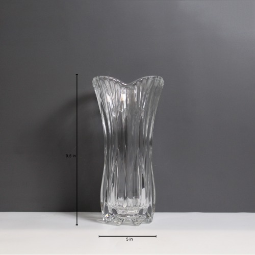 Botanica Plant And Flower Vase | Glass Pot| Glass Flower Pot| Glass Flower Vase for Decorate House