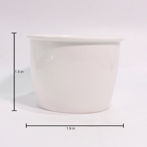 Fancy White Ceramic Pot | Decorative Indoor Outdoor Ceramic Pots for Plants