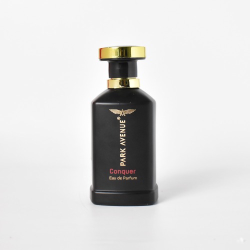 Park Avenue Conquer Eau De Parfum - 100 Ml | Perfume For Men